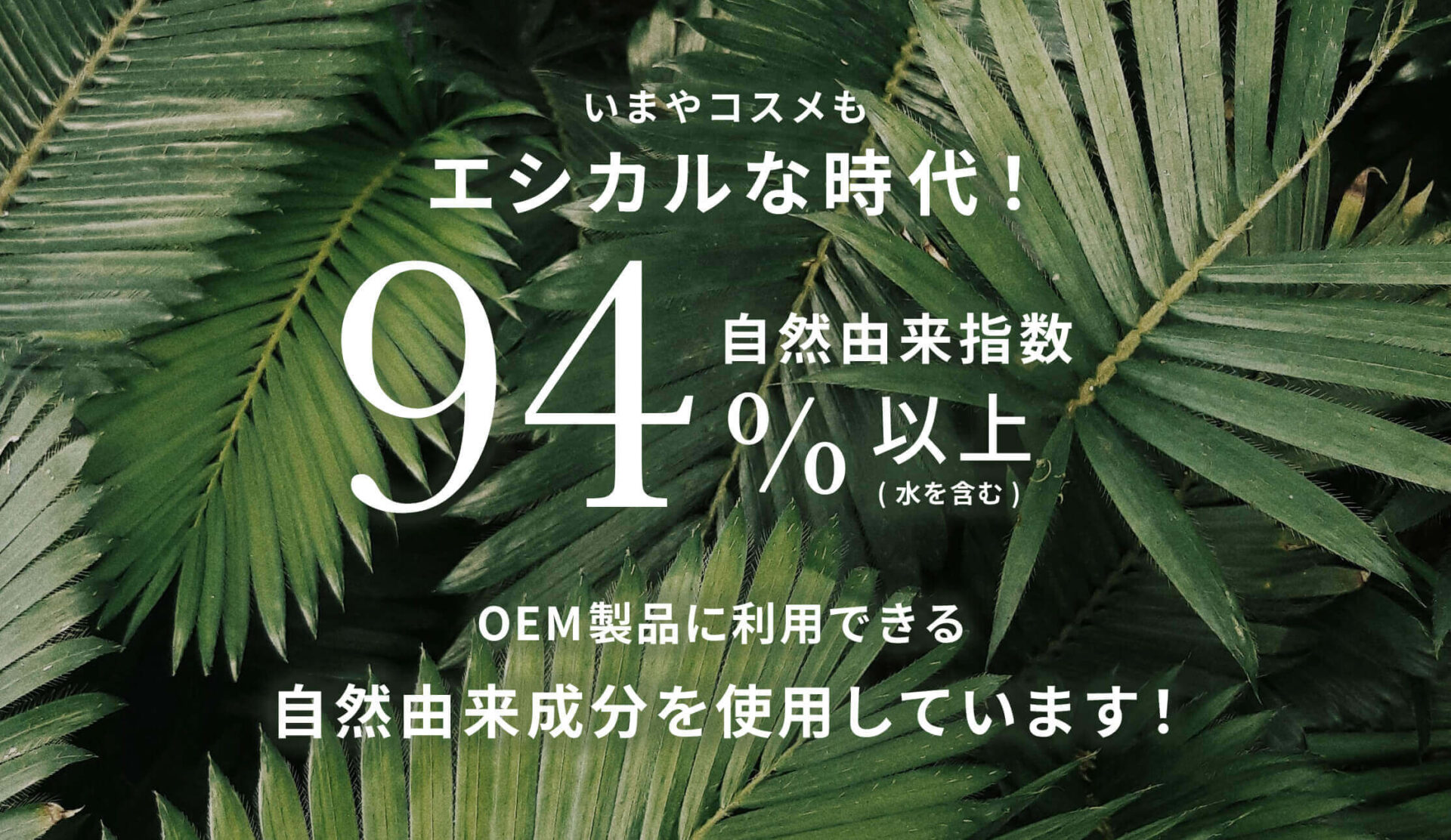 株式会社アイーダの事例4